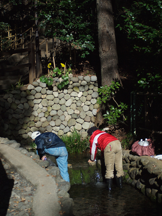 殿ヶ谷戸公園~お鷹の道~その2_a0161380_150876.jpg