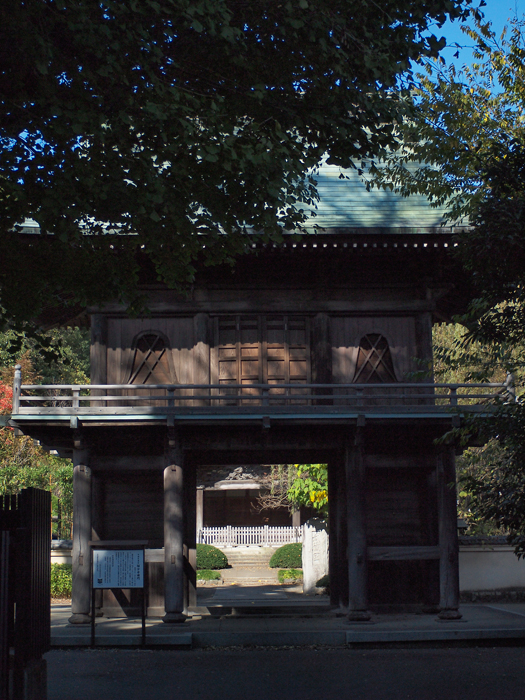 殿ヶ谷戸公園~お鷹の道~その2_a0161380_1525182.jpg