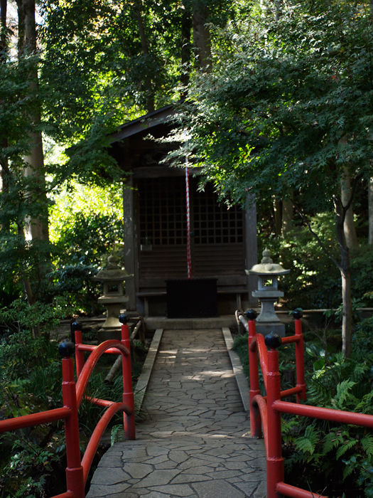 殿ヶ谷戸公園~お鷹の道~その2_a0161380_15423100.jpg