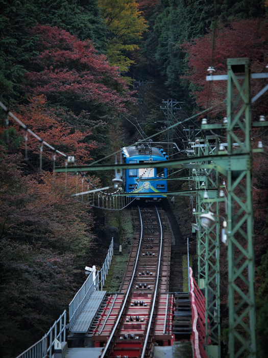 月例東京散策*11月~奥多摩へ2~_a0161380_19321038.jpg