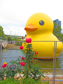 a0062983_92439.jpg
