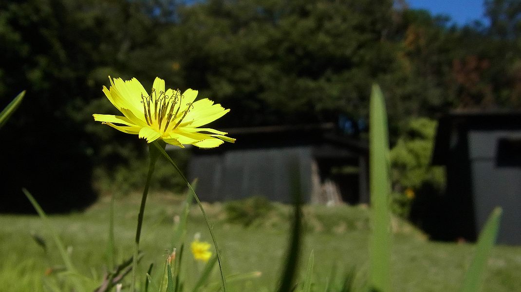 a0152692_18554576.jpg