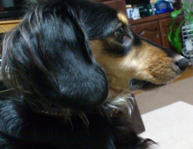 a0225693_053826.jpg