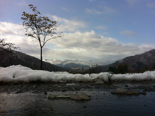 逆から_d0112893_182168.jpg