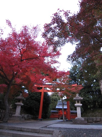 紅葉お散歩 in 嵐山♪_e0126594_90322.jpg