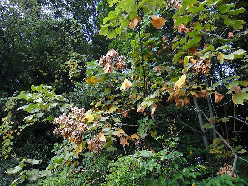 f0204094_2039328.jpg