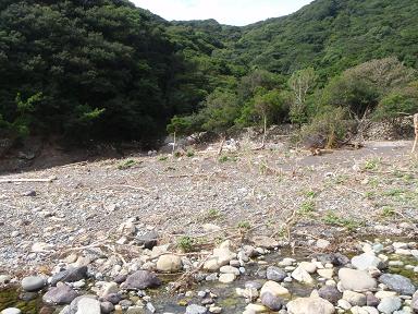 a0125598_19331626.jpg
