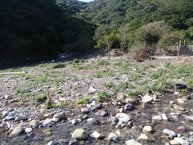 a0125598_19333758.jpg