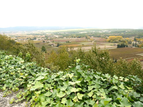 c0090198_5324357.jpg