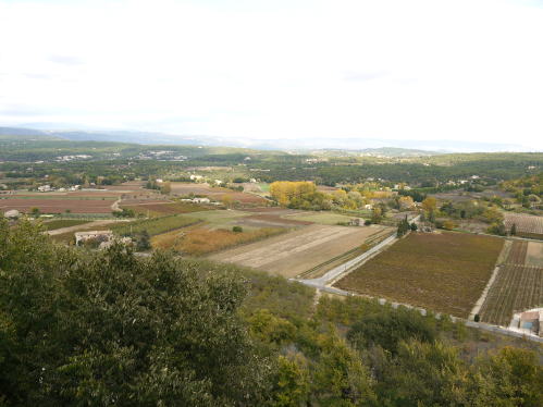 c0090198_5374249.jpg