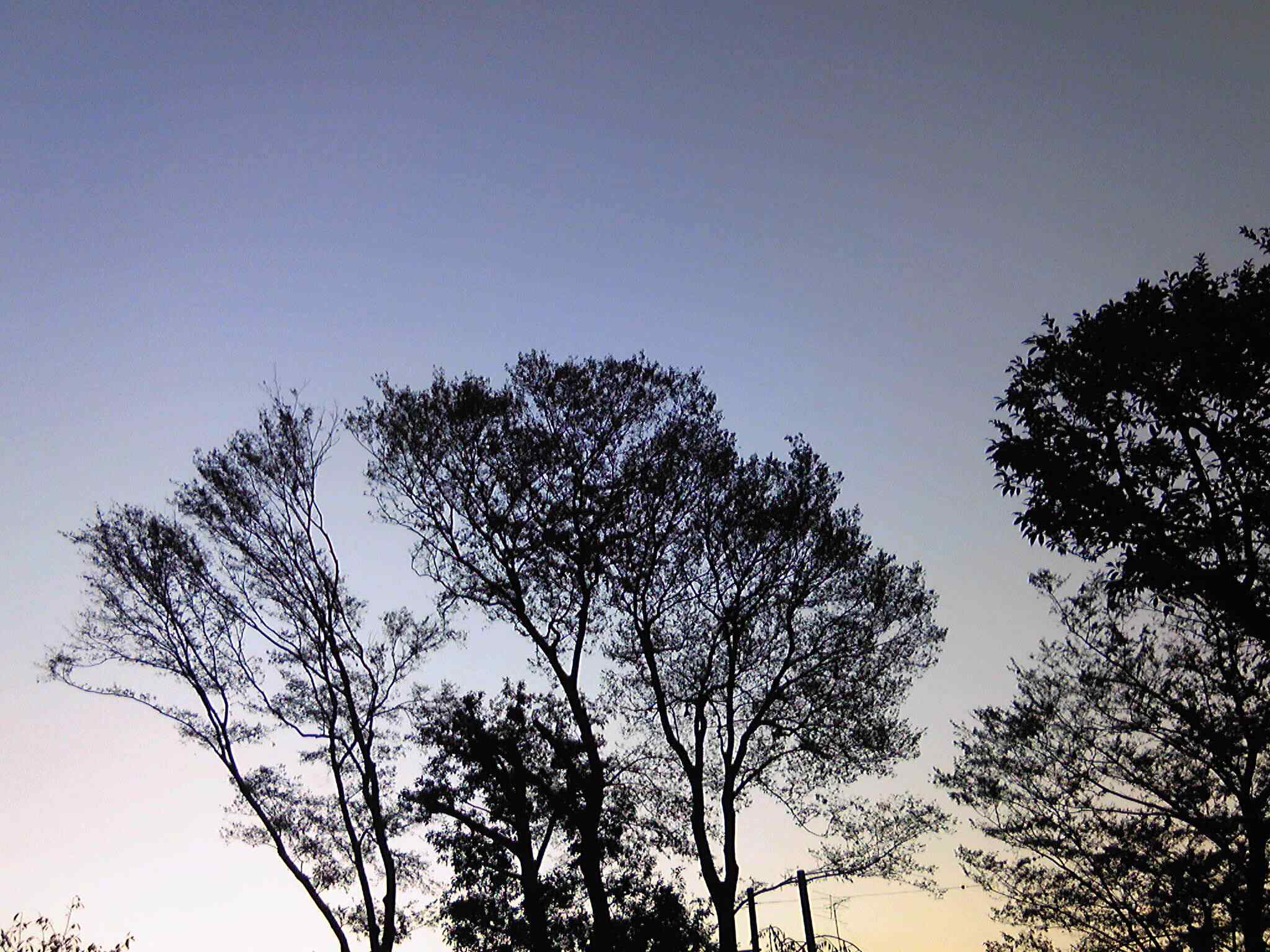a0073000_11272772.jpg