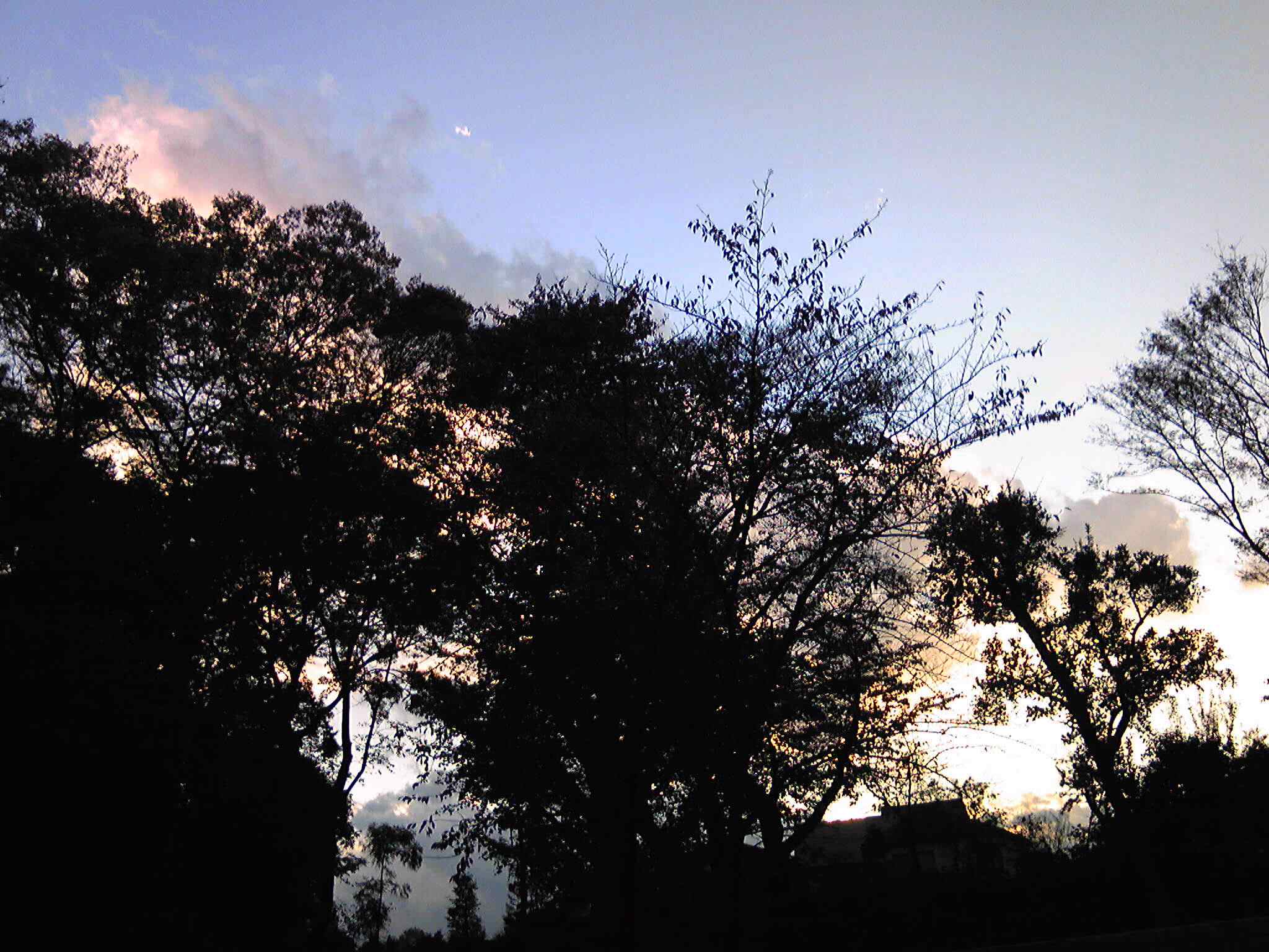 a0073000_11274334.jpg