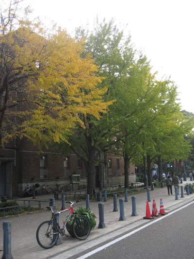 b0097200_17231452.jpg