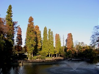 2011年11月22日（火） ； 晴れ_d0051601_0373090.jpg