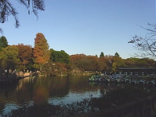 2011年11月22日（火） ； 晴れ_d0051601_0405942.jpg