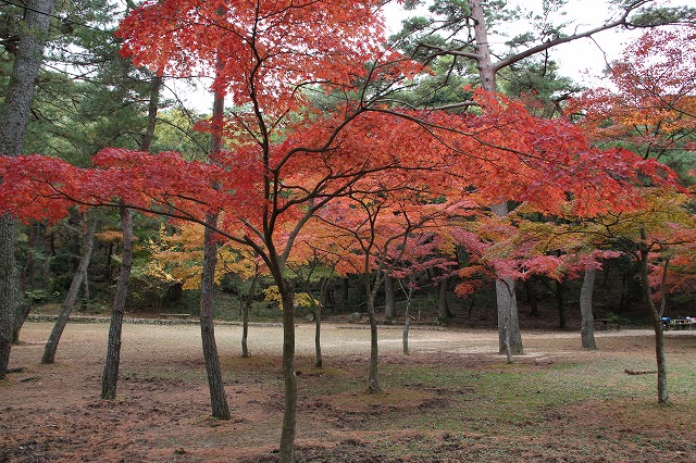 a0123003_20423570.jpg