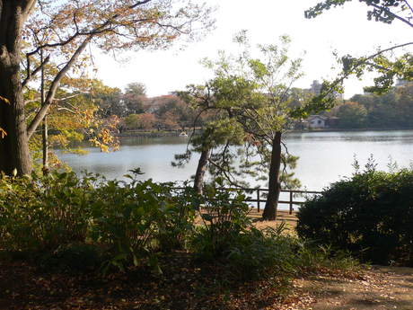 a0229205_200948.jpg
