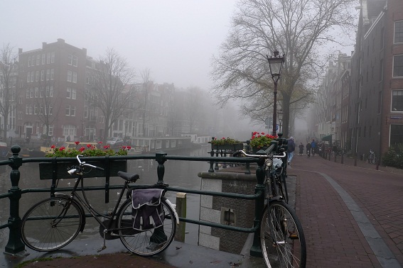 a0187808_585619.jpg