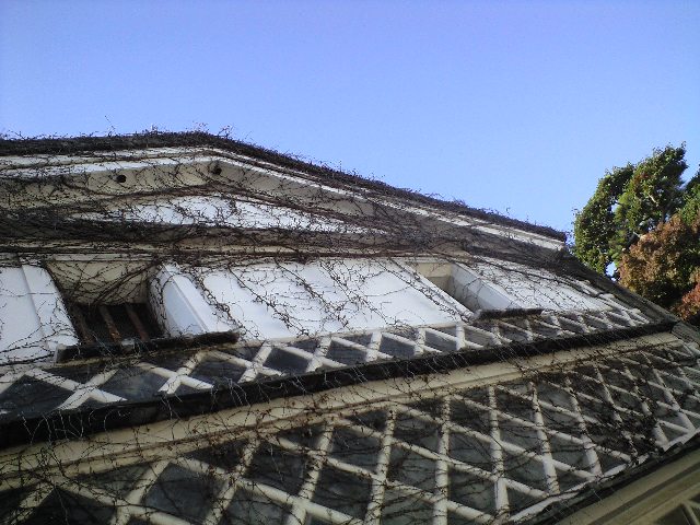 倉敷 医師として飛躍する?ことになった?懐かしい土地。。_a0194908_1715222.jpg