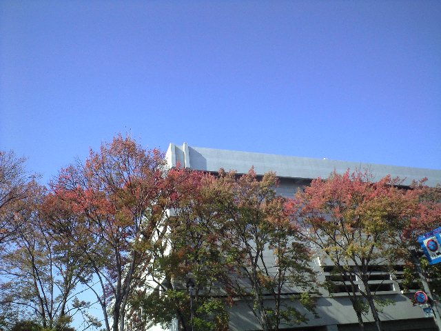 倉敷 医師として飛躍する?ことになった?懐かしい土地。。_a0194908_1734424.jpg