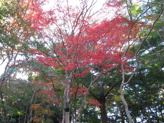 f0225108_12443324.jpg