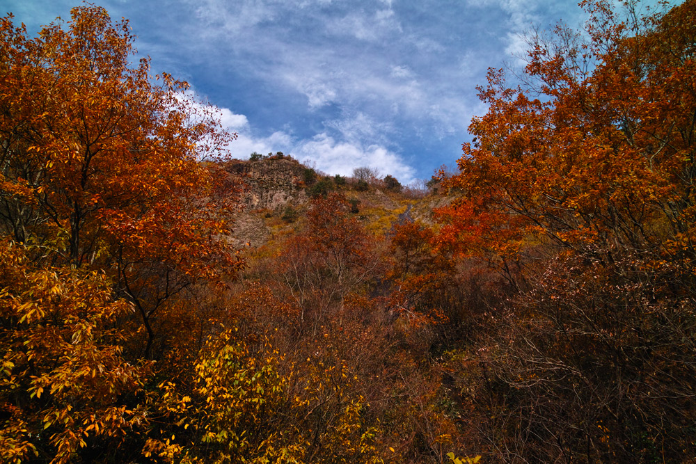 Red River Valley_c0065410_17464566.jpg