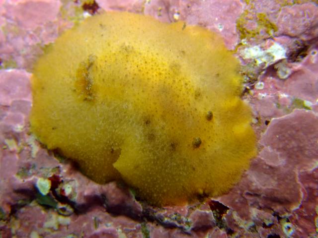 d0175710_1921166.jpg