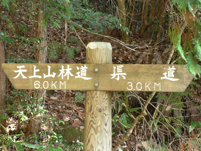 f0219710_1031617.jpg