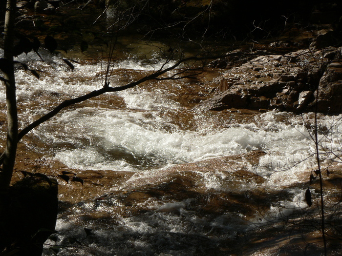f0219710_1044413.jpg