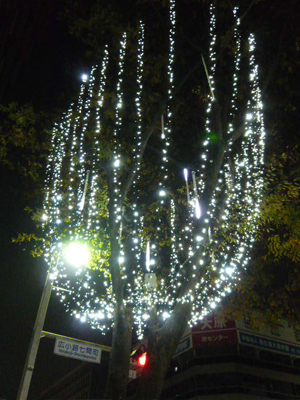 f0226010_19412425.jpg