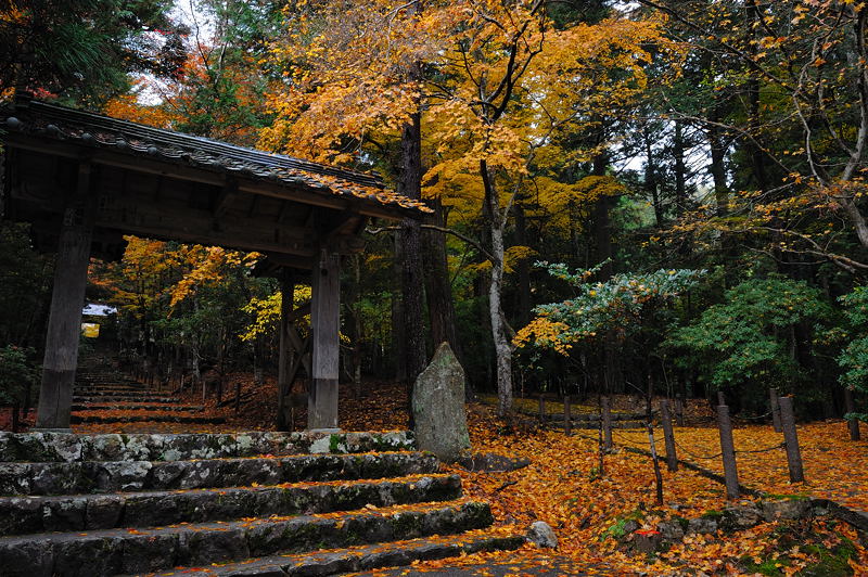 2011京都の紅葉・常照皇寺_f0032011_18474837.jpg