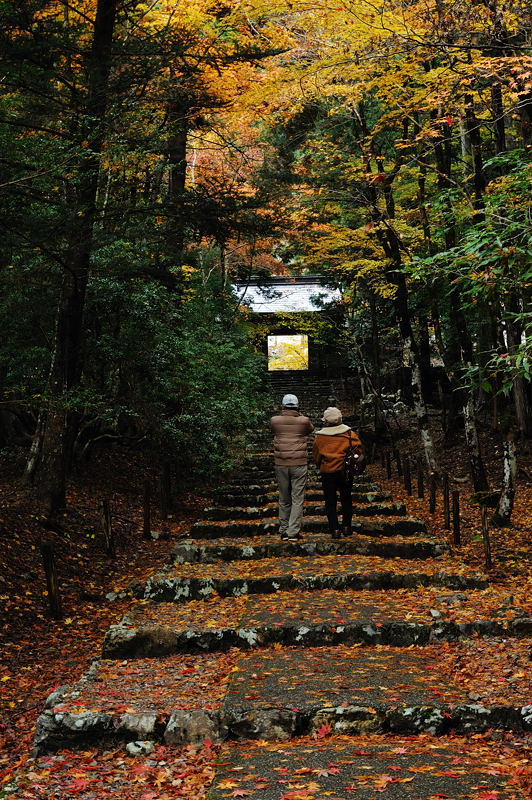 2011京都の紅葉・常照皇寺_f0032011_18475774.jpg