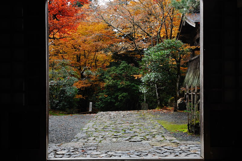 2011京都の紅葉・常照皇寺_f0032011_18493972.jpg