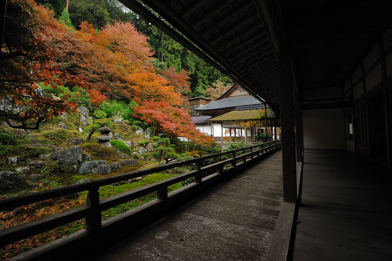 2011京都の紅葉・常照皇寺_f0032011_18502395.jpg
