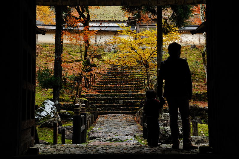 2011京都の紅葉・常照皇寺_f0032011_18513618.jpg