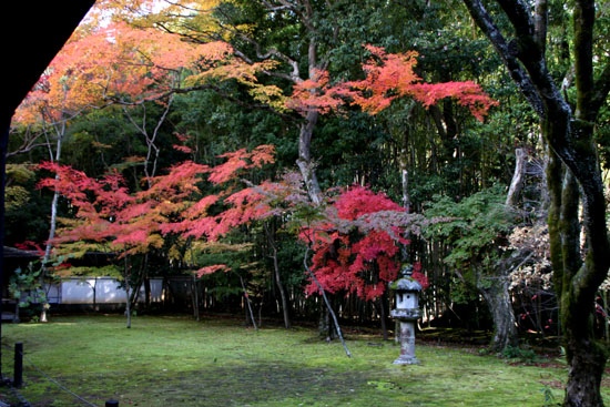 大徳寺　高桐院_e0048413_22114744.jpg