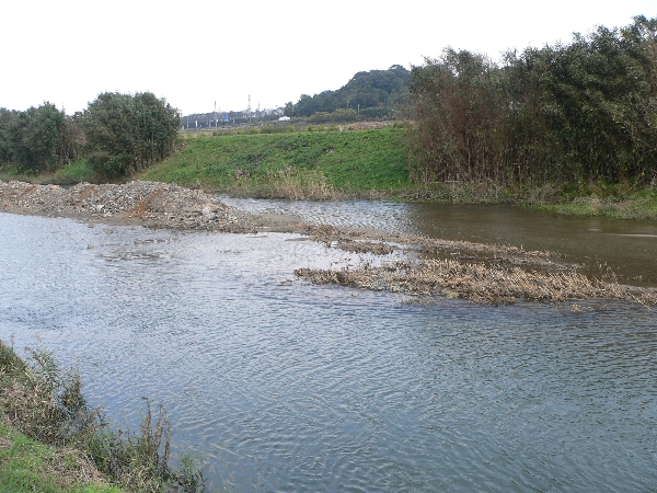 e0002314_2056497.jpg