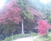 b0208515_23585566.jpg