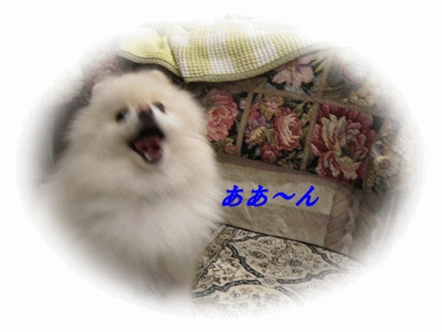 b0167519_9155847.gif