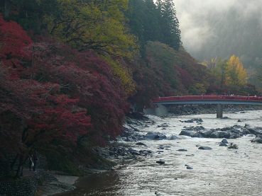 c0226331_858179.jpg