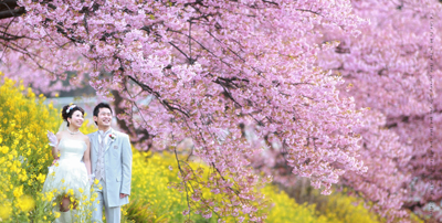 結婚式前撮り撮影 静岡 桜のウェディングフォト Petite Rose