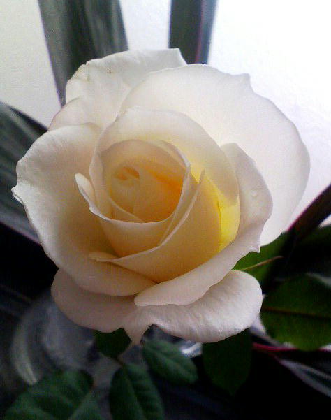 b0240739_2110950.jpg