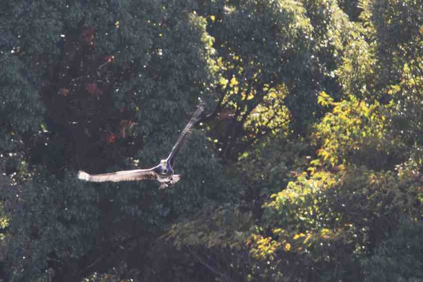 c0172139_845831.jpg