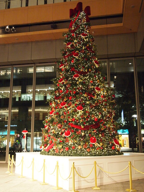 f0098447_12504569.jpg