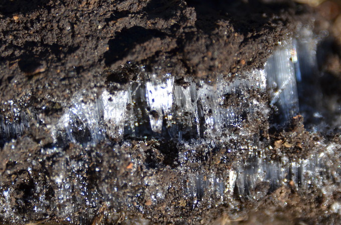 a0238350_20551034.jpg