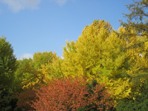 a0162251_1125473.jpg