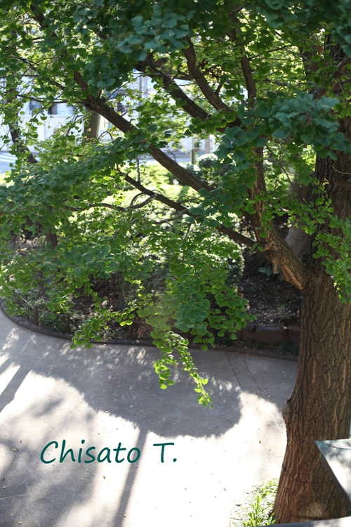 c0163751_9371962.jpg