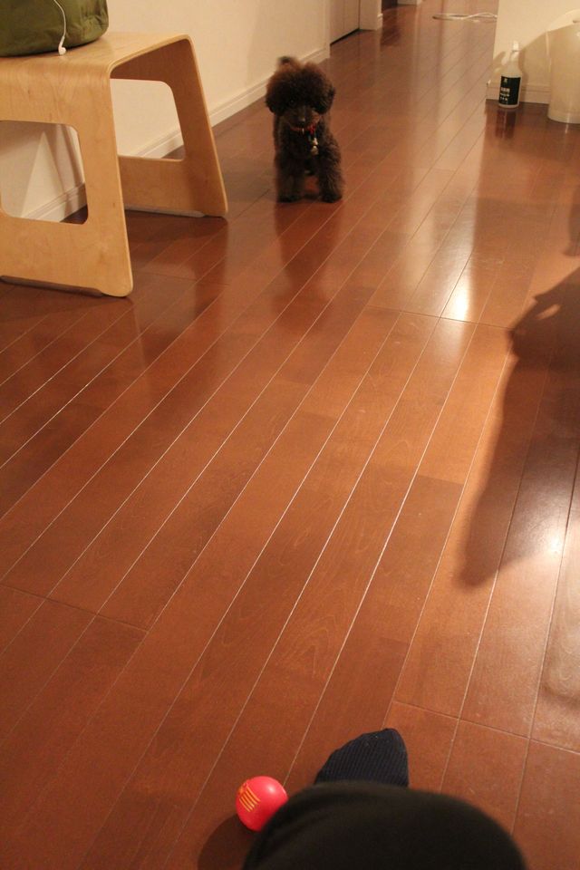 b0220958_23445610.jpg