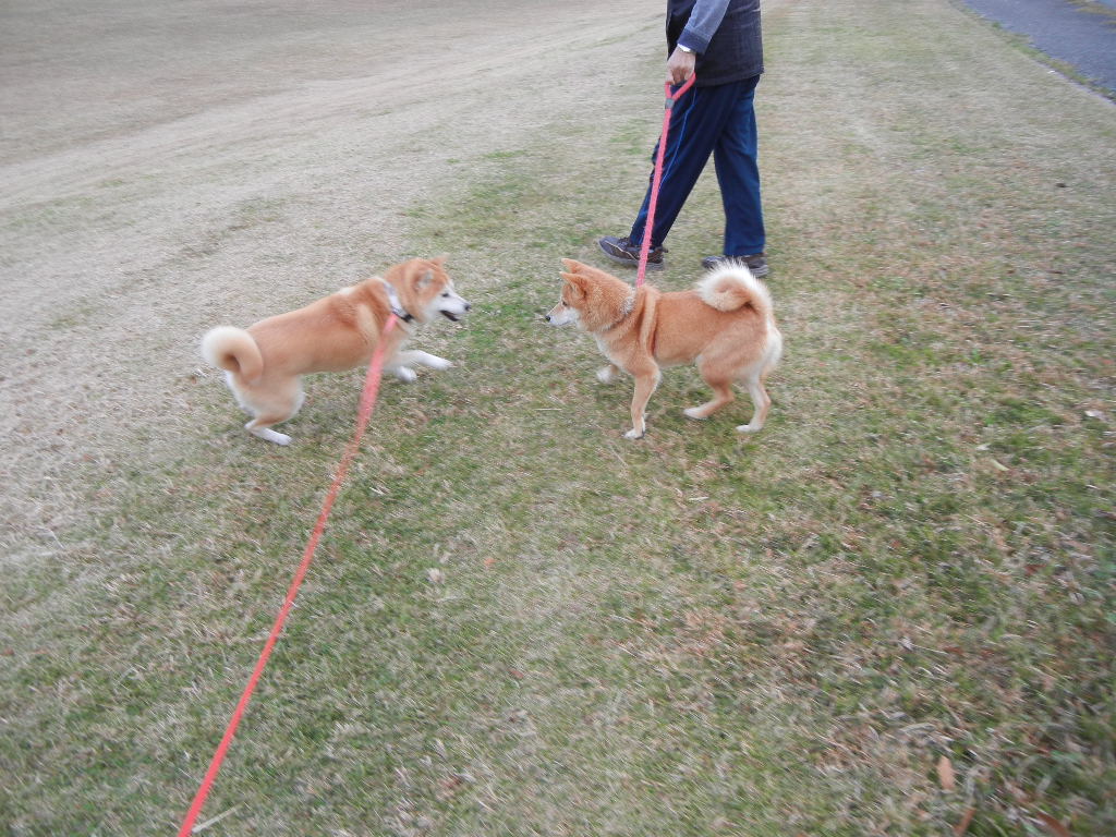 2011年11月23日(水)勤労感謝の日!_f0060461_1254431.jpg