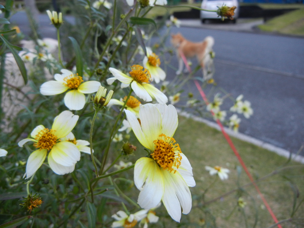 2011年11月23日(水)勤労感謝の日!_f0060461_12553789.jpg